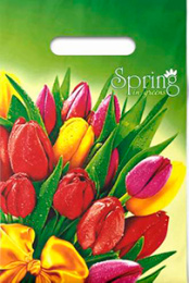 Пакет с вырубной ручкой 20*30-30мкм "Весна" (1*100)