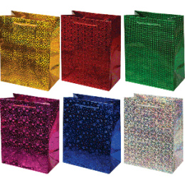 Пакет подарочный 12*15 "Голография" (1/20)