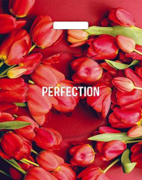 Пакет с вырубной ручкой 38*45-60мкм "Совершенство" (1*25/20уп)