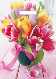 Пакет с вырубной ручкой 29*40-35мкм "Сиеста" (1*50/20уп)