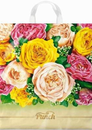 Пакет с петлевой ручкой 38*42-40мкм "Пунш" (1*25/20уп)