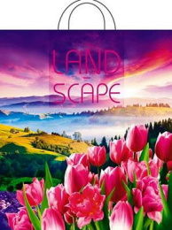 Пакет с петлевой ручкой 38*42-50мкм "Просторы" (1*25/20уп)